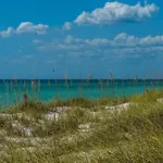 A Sandy Shore
