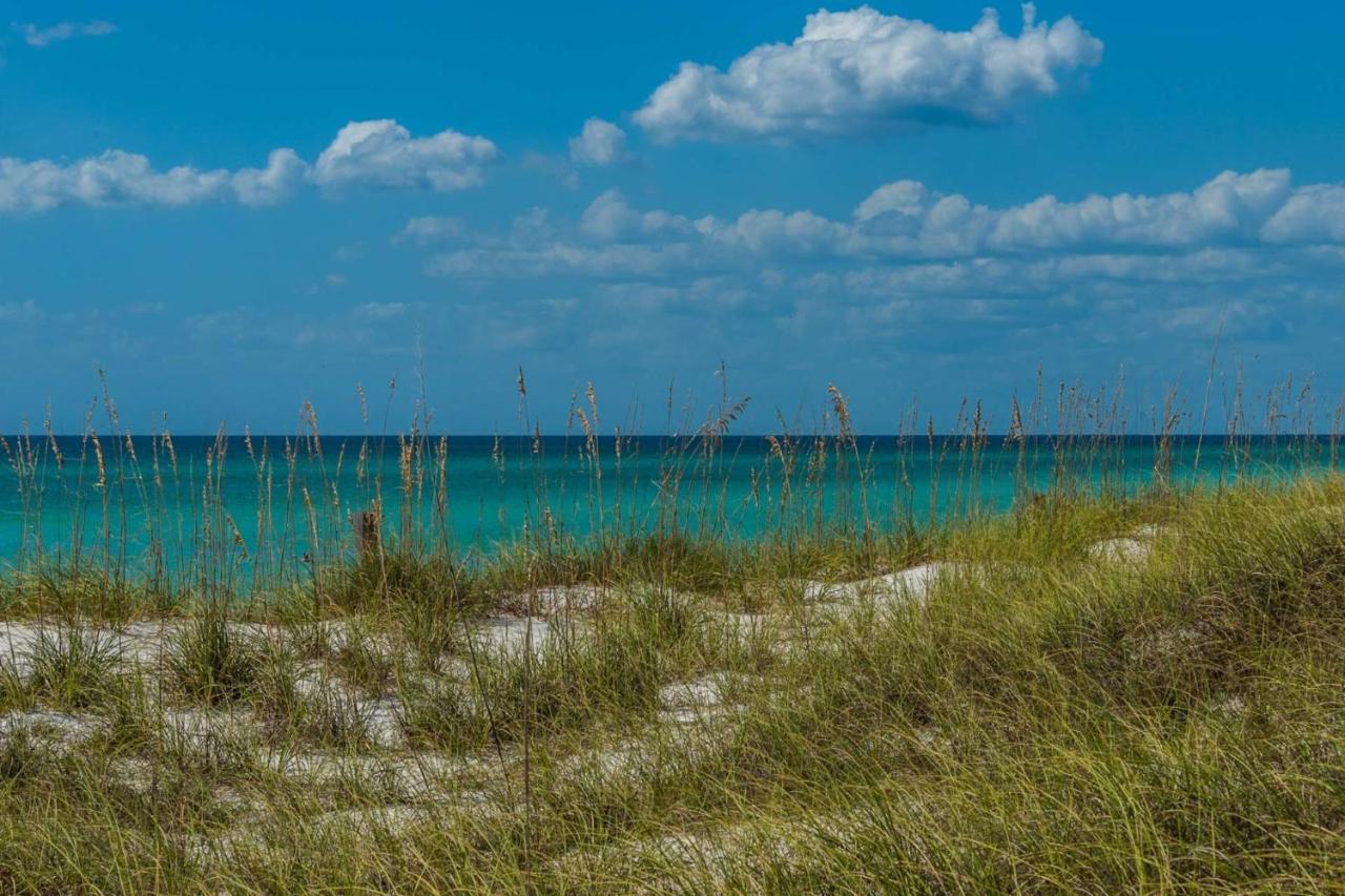A Sandy Shore * Panama City Beach